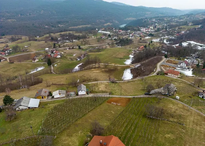 Vineyard Cvitkovic Adlesici